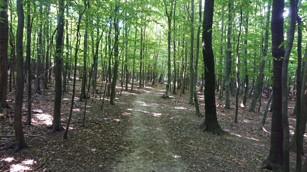 Vysoká – cestovateľské rady a tipy k výstupu