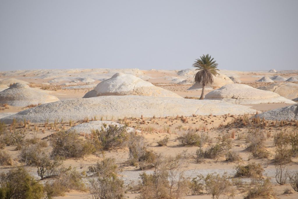 Egypt cez fotografie